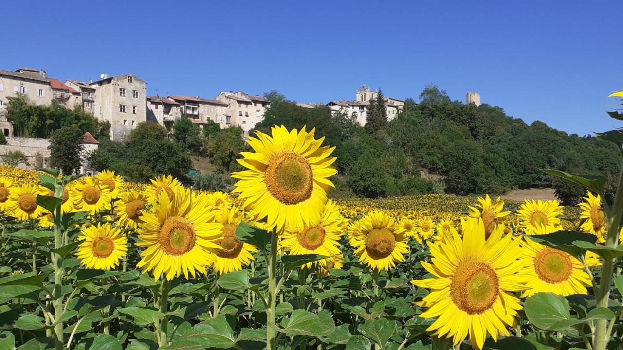 Hotel Saint Laurans Aurignac  Esterno foto